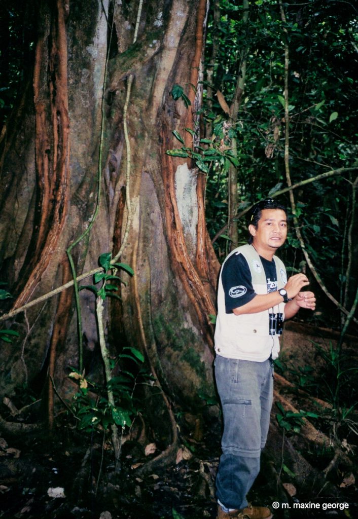 Zuan tells us about the vegetation in the jungle