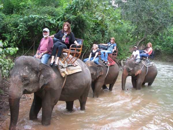 Riding an elephant is not for the timid traveller. Isan, Thailand.